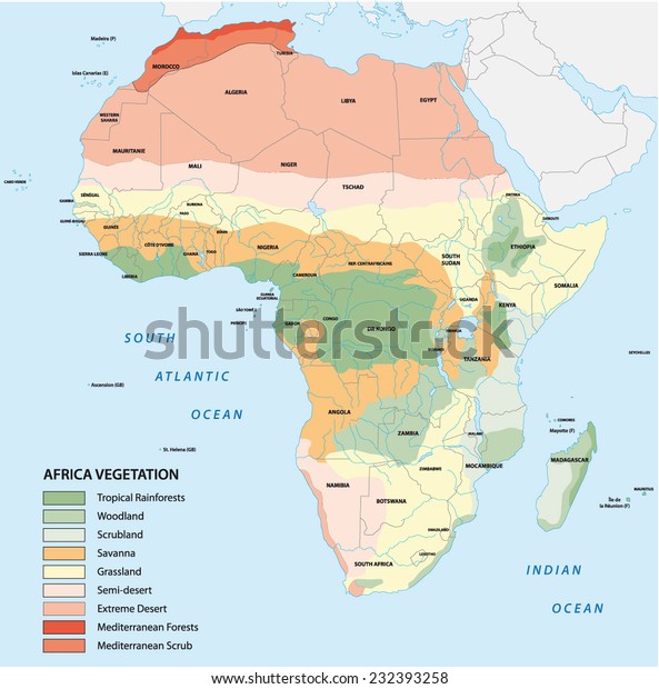 Africa Vegetation Map Stock Vector Royalty Free 232393258