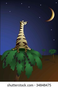 africa, zebra, safari