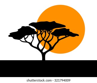 African acacia safari simplistic sunset background