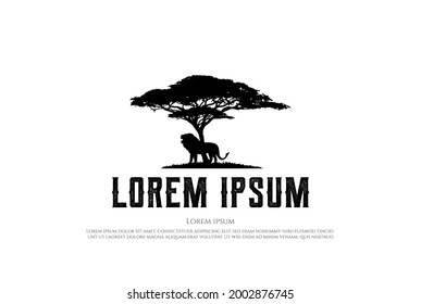 Árbol de acacia africano con silueta de león para vector de diseño con logo de aventura Safari