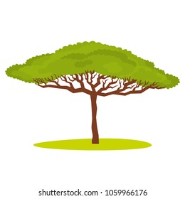 African Acacia tree Vector