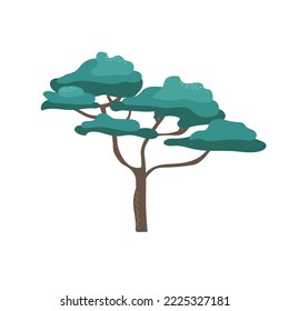 African acacia tree with wide crown flat cartoon style, vector illustration on white. Nature design element, single object, savannah flora