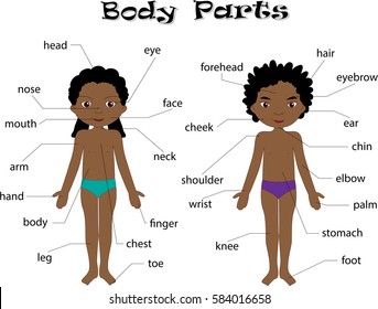 African American boy and girl unclothed. Body parts, anatomy in English 