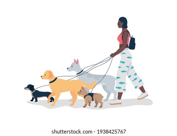 African american girl walking dogs on leashes flat color vector detailed character. Professional walker service. Pet care isolated cartoon illustration for web graphic design and animation