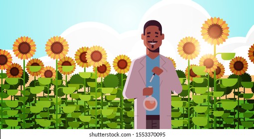 african american man scientist holding test tube making experiment on sunflowers field research science agriculture farming concept flat horizontal portrait vector illustration