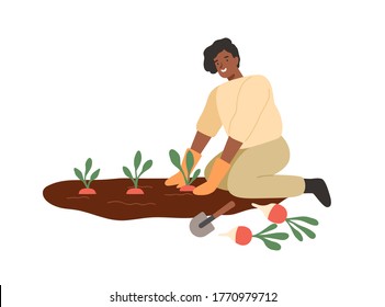 African american smiling woman gathering harvest on vegetable patch vector flat illustration. Female farmer cultivate plants on seedbed isolated on white. Agricultural girl during work