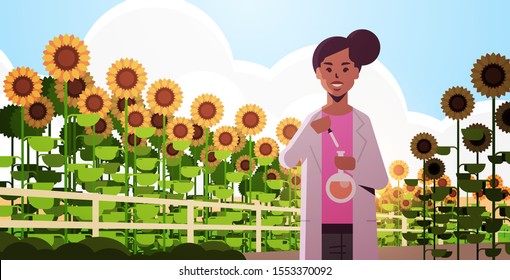 african american woman farmer scientist holding test tube making experiment on sunflowers field research science agriculture farming concept flat horizontal portrait vector illustration