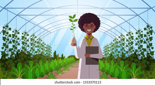 african american woman scientist examining plant sample in test tube modern glass greenhouse interior research science agriculture farming concept flat horizontal portrait vector illustration