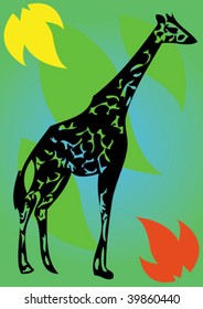 african animal