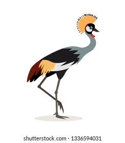 African animal, beautiful colorful crowned crane isolated on white background, exotic bird, vector illustration in flat style
