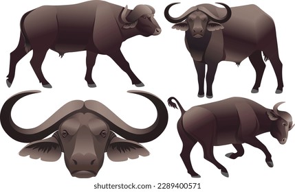 african animal buffalo black bull realistic ox