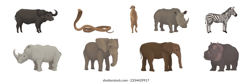 African Animal with Buffalo, Cobra, Meerkat, Rhino, Zebra, Elephant and Hippo Vector Set