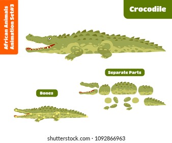 African Animal Crocodile For Animation Set. Cartoon Style Vector Illustration
