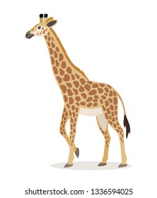 African animal, cute giraffe icon isolated on white background, animal with long neck, vector illustration in flat style