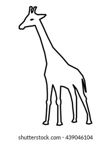 African animal icon. giraffe design. vector graphic