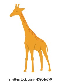 African animal icon. giraffe design. vector graphic