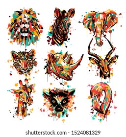 African animal lemur elephant leopard giraffe lion Flamingo antelope and Zebra