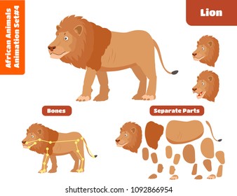 African Animal Lion For Animation Set. Cartoon Style Vector Illustration