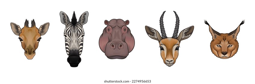 African Animal Muzzle Isolated on White Background Vector Set