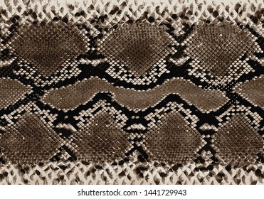 African animal prints background vector