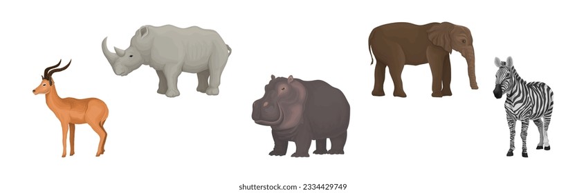 African Animal with Rhino, Gazelle, Hippo, Zebra and Elephant Vector Set