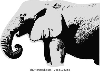 African animal, vector image, elephant silhouette