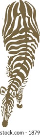 Animal africano - Vector de cebra
