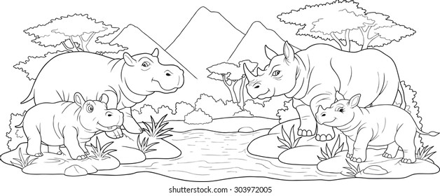 African animals