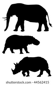 African animals