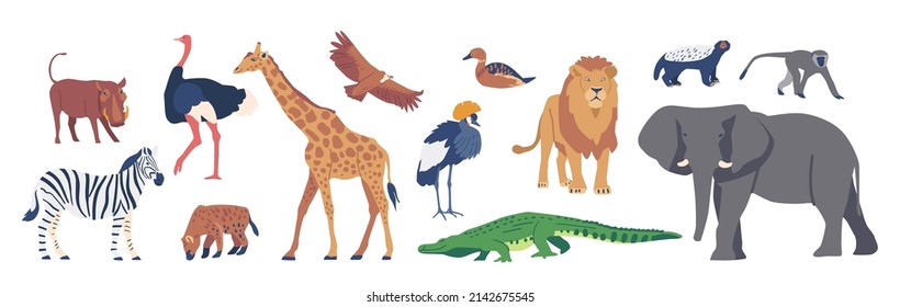 African Animals and Birds, Savannah Crowned Crane, Zebra, Lion and Boar, Giraffe, Duck, Honey Badger, Ostrich and Hyena. Elephant, Crocodile, Eagle and Monkey. Isolated Cartoon Vector Illustration