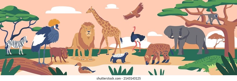 African Animals and Birds in Savannah Landscape. Crowned Crane, Zebra, Lion and Boar, Giraffe, Duck, Honey Badger, Ostrich and Hyena. Elephant, Crocodile, Eagle and Monkey. Cartoon Vector Illustration