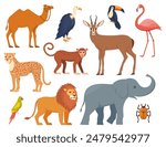 African animals and birds, set of characters. Elephant, giraffe, camel, cheetah, lion, flamingo, toucan, parrot, vulture, monkey Wildlife animal of Africa exotic safari travel Vector