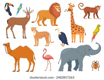 African animals and birds, set of characters. Elephant, giraffe, camel, cheetah, lion, flamingo, toucan, parrot, vulture, monkey Wildlife animal of Africa exotic safari travel Vector