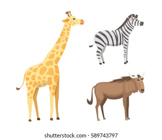 African animals cartoon vector set. elephant, rhino, giraffe, cheetah, zebra, hyena, lion, hippo, crocodile, gorila and outhers. safari isolated illustration