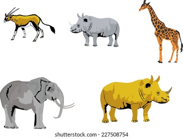 African animals collection 