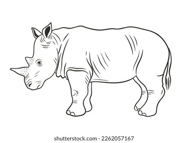 African animals collection. Graphic vector outline illustration with rhinoceros