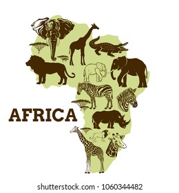African Animals Collection.Vector illustration.