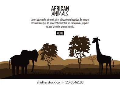 African animals concept