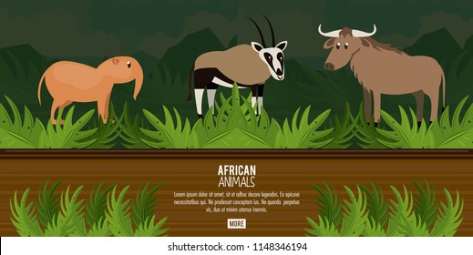 African animals concept