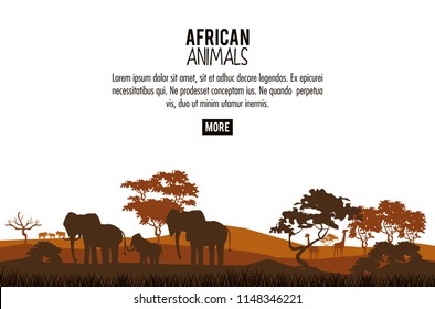 African animals concept