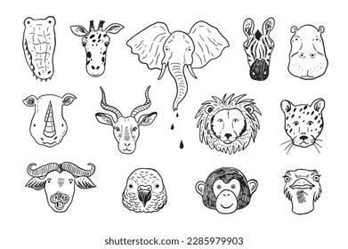 African animals funny faces vector line illustrations set.