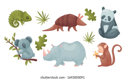 African Animals with Horned Rhino and Koala Sitting on Tree Branch Vector Set