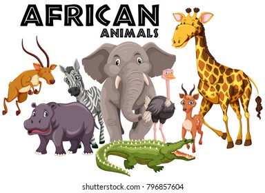 African animals on white background illustration