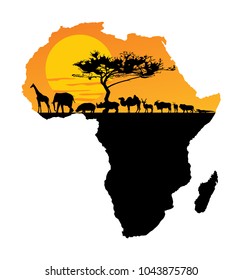 African animals over map of Africa. Safari sunset. Savanna wildlife animals. Big five under acacia tree. Travel invitation card for Africa nature. Giraffe, elephant, rhino, hippo, lion, crocodile...