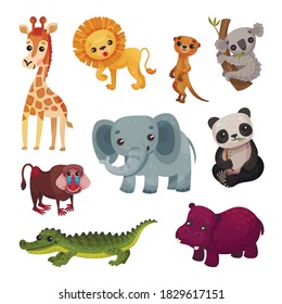 African Animals with Panda Bear and Lion Vector Set