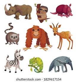 African Animals with Rhinoceros and Sloth Vector Set