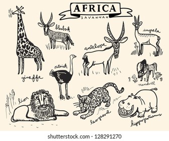 african animals set