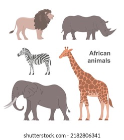 African animals set. Big elephant, giraffe, rhinoceros, lion and zebra. Herbivorous and carnivorous. Wildlife mammal. Fauna zoology. Flat vector collection illustration isolated on white background