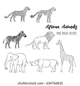African animals set. Hand drawn sketches. Vector Illustration