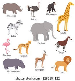 African animals set with titles. Wildlife Africa. Rhinoceros, ostrich, chimpanzee, zebra, elephant, giraffe, flamingo, cheetah, okapi, hippopotamus, springbok, lion. Isolated vector illustration